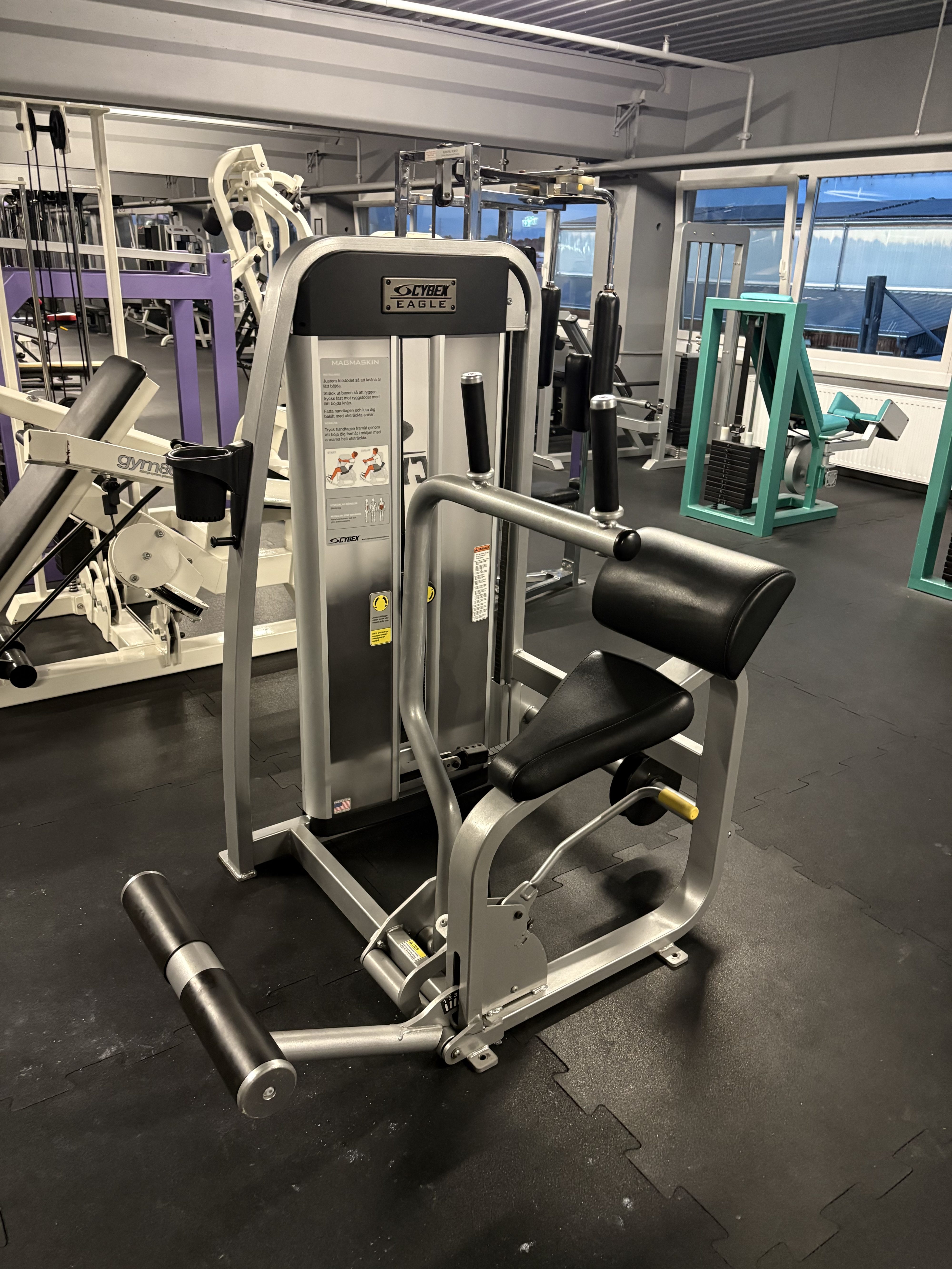 Bauchgerät von Cybex im Real Steel