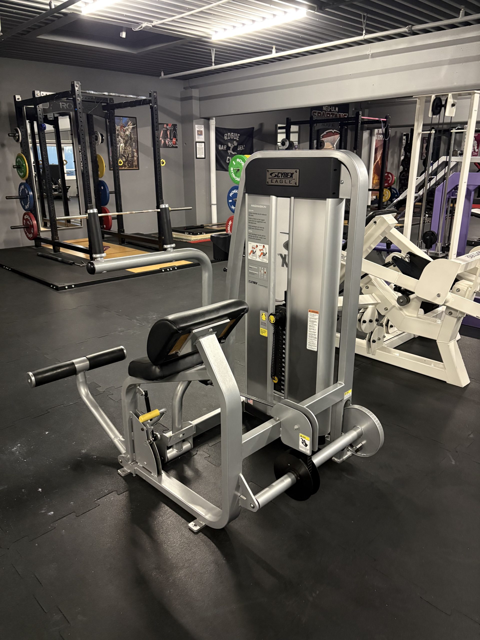 Blogbeitragsbild Neues Bauchgerät im Real Steel