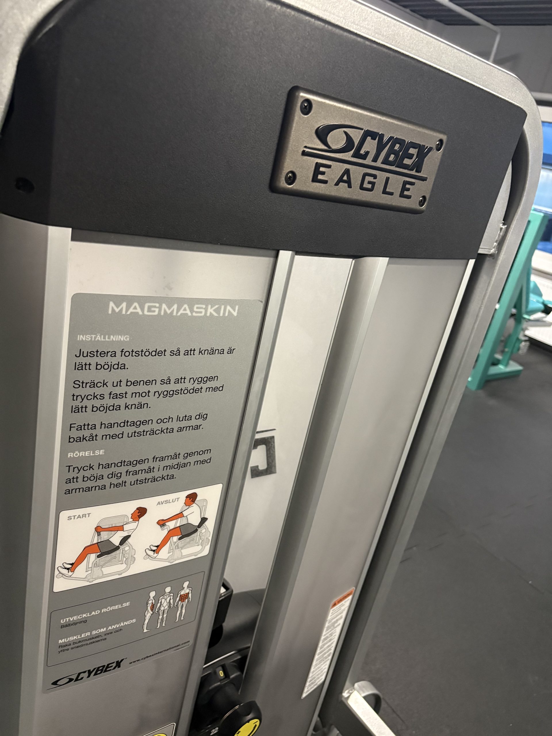 Blogbeitragsbild Neues Bauchgerät im Real Steel